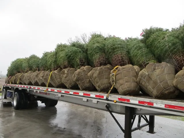 Affordable outdoor landscaping in Elkhorn, NE - Arbor Hills Trees & Landscaping