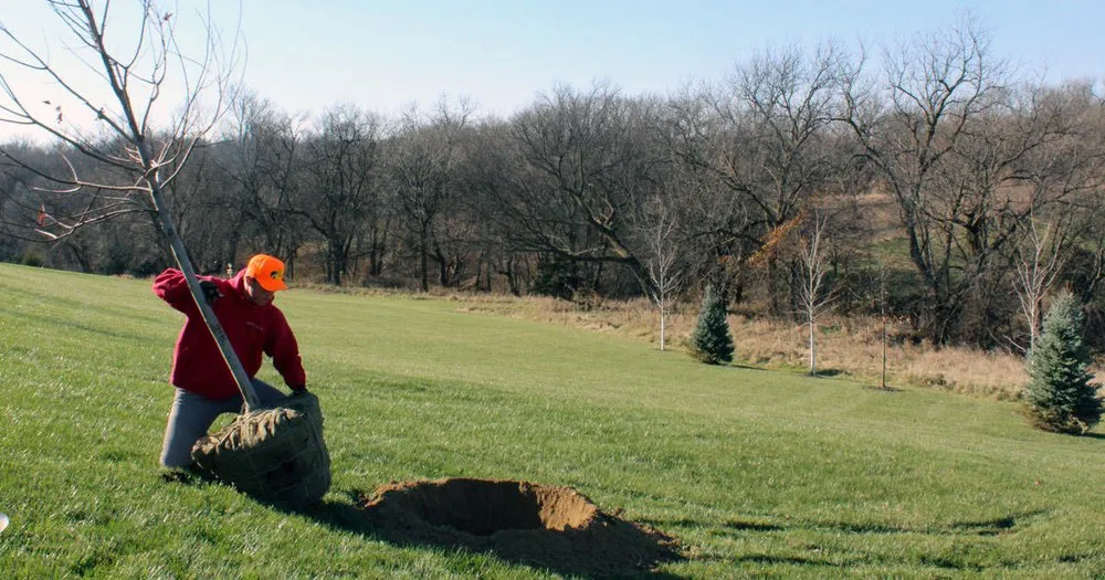 Affordable landscape installation in Elkhorn, NE - Arbor Hills Trees & Landscaping