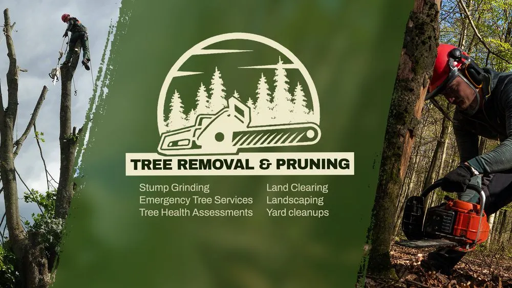 Expert residential landscaping experts serving Southampton, NY - Arbor Jack Tree Service