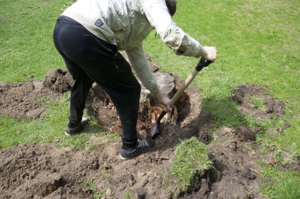 Local outdoor landscaping experts serving Southampton, NY - Arbor Jack Tree Service