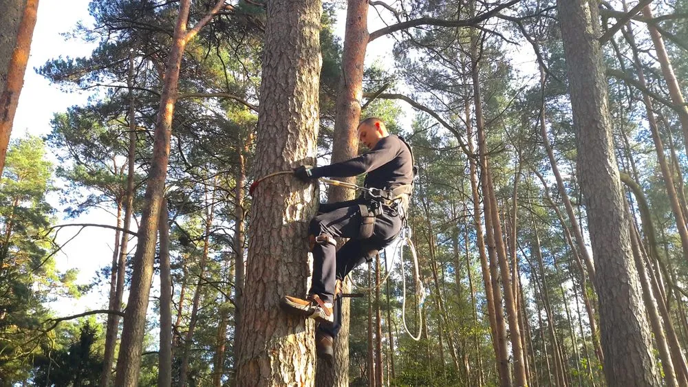Reliable landscape installation for year-round maintenance in Southampton, NY by Arbor Jack Tree Service