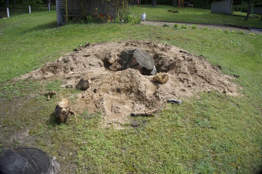 Affordable residential landscaping with custom design in Southampton, NY by Arbor Jack Tree Service