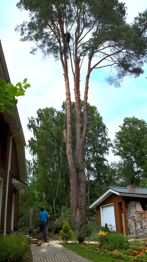 Local lawn care service for outdoor upgrades across Southampton, NY - Arbor Jack Tree Service