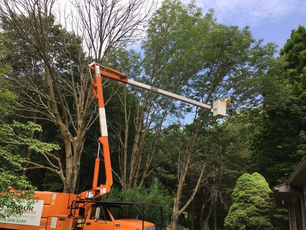 Local garden landscaping for beautiful yards across Worden, IL - Arbor Junkies Tree Service