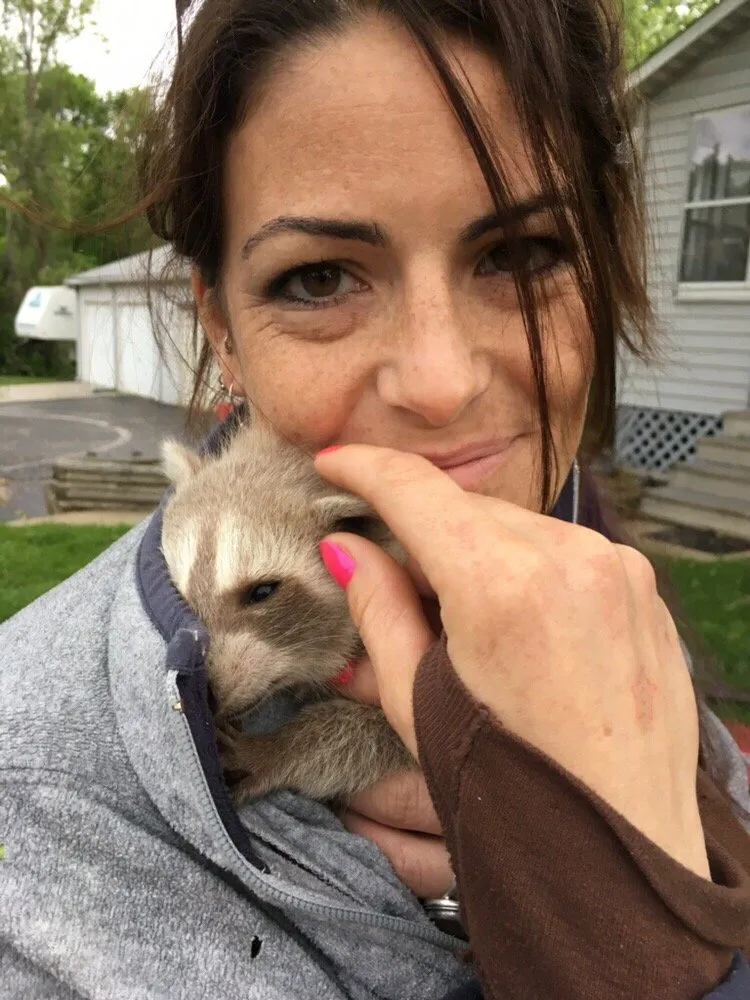 Reliable lawn care service in Worden, IL by Arbor Junkies Tree Service