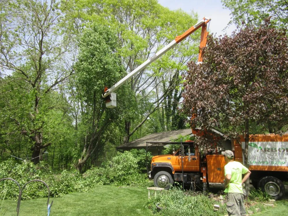Affordable landscape design near you across Worden, IL - Arbor Junkies Tree Service