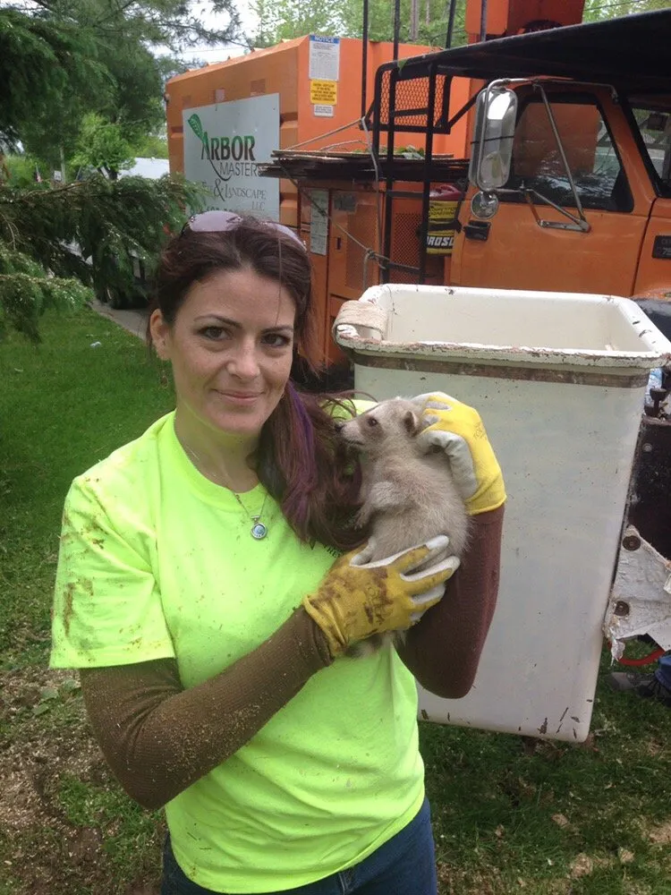 Expert landscaping services in Worden, IL - Arbor Junkies Tree Service