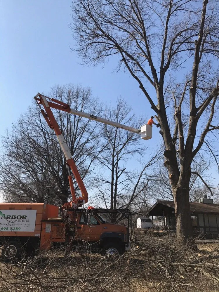 Local landscaping services experts serving Worden, IL - Arbor Junkies Tree Service
