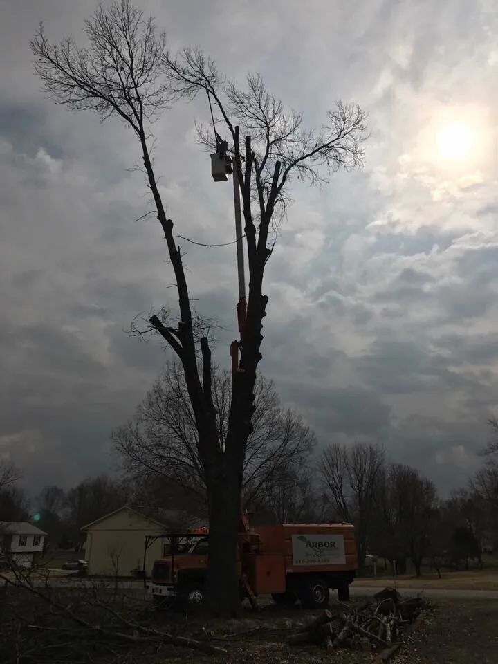 Custom lawn mowing service with custom design in Worden, IL by Arbor Junkies Tree Service