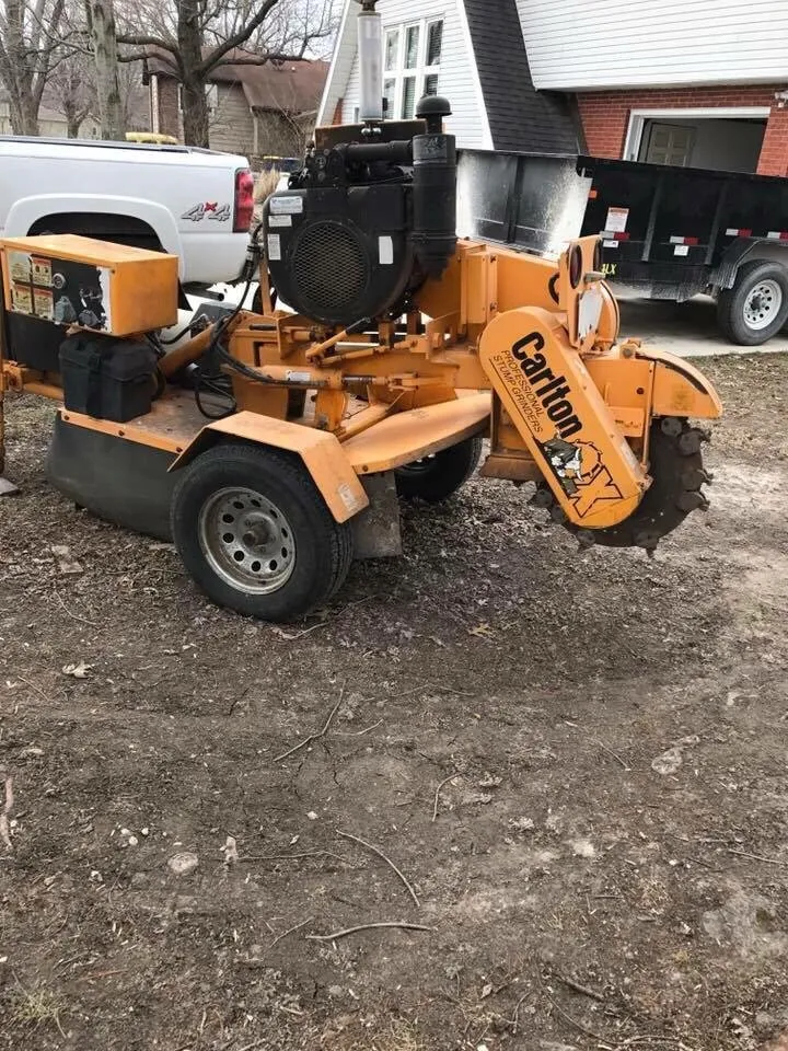 Expert landscape design for residential properties across Worden, IL - Arbor Junkies Tree Service