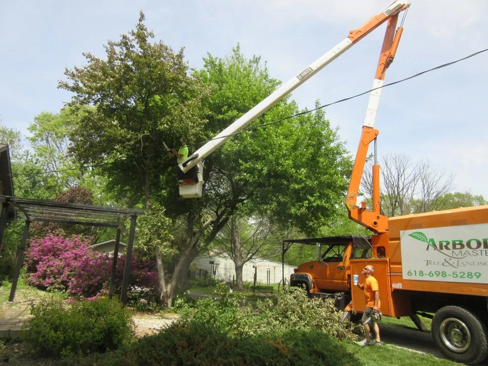 Trusted outdoor landscaping experts serving Worden, IL - Arbor Junkies Tree Service