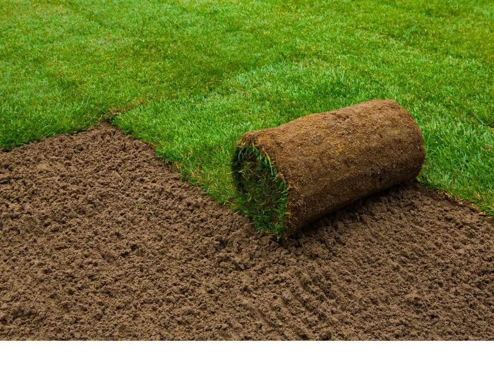 Custom outdoor landscaping in Pittsboro, NC by Arbor Landscape 2.0