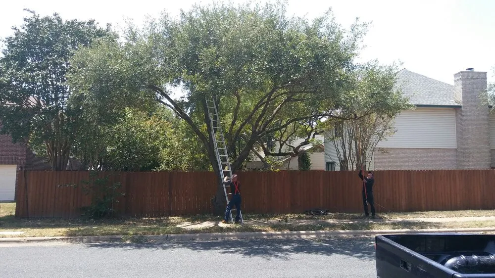 Custom lawn care service for residential properties in Austin, TX by Arbor Logical Tree Care