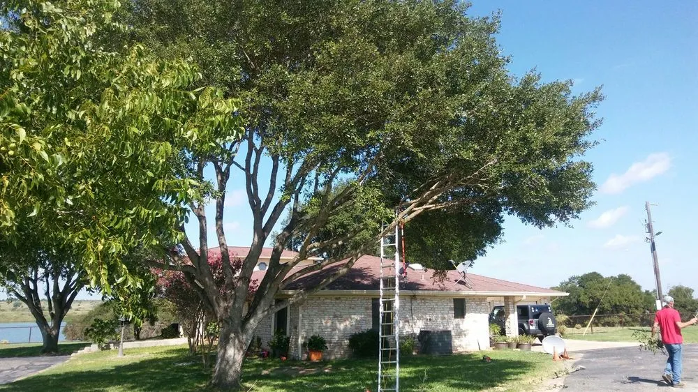 Reliable residential landscaping experts serving Austin, TX - Arbor Logical Tree Care