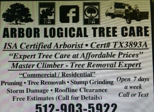 Custom yard maintenance in Austin, TX by Arbor Logical Tree Care