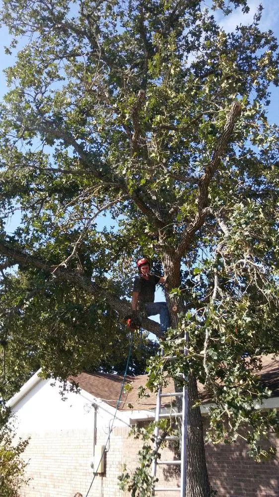 Custom residential landscaping experts serving Austin, TX - Arbor Logical Tree Care