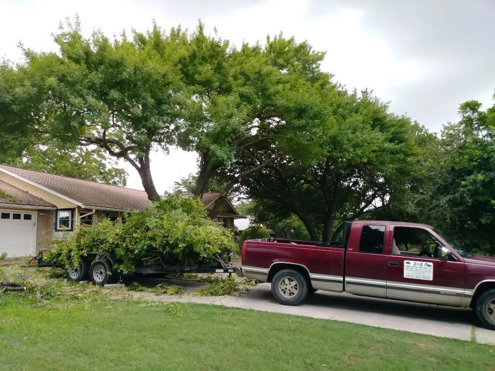 Expert lawn mowing service in Austin, TX - Arbor Logical Tree Care