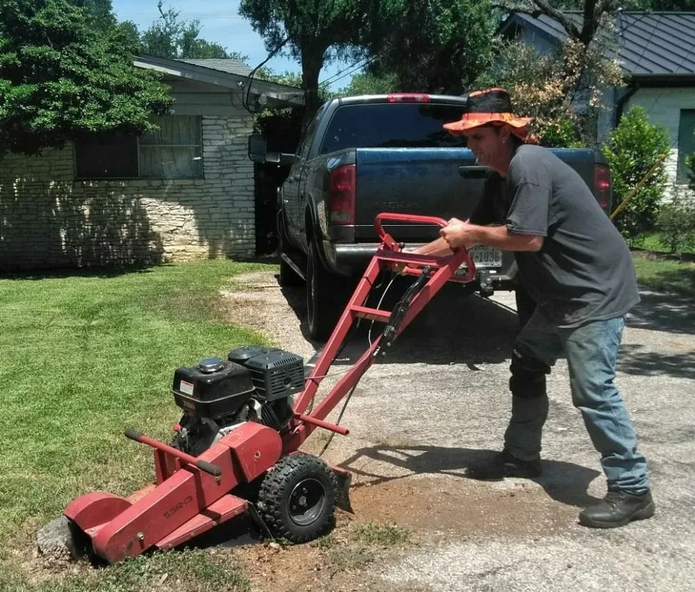 Top-rated landscape design in Austin, TX - Arbor Logical Tree Care