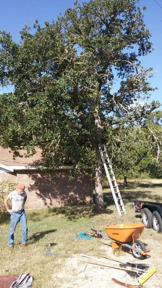 Expert residential landscaping experts serving Austin, TX - Arbor Logical Tree Care