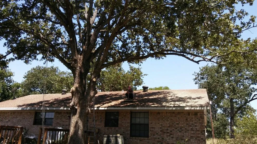 Reliable garden landscaping in Austin, TX by Arbor Logical Tree Care