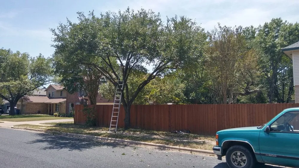 Reliable landscape design for beautiful yards in Austin, TX by Arbor Logical Tree Care