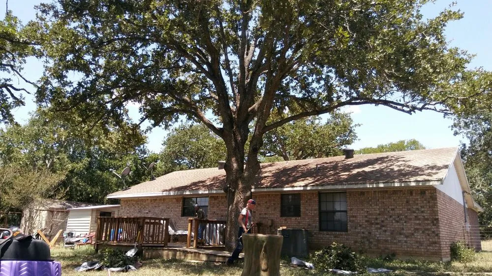 Local residential landscaping in Austin, TX - Arbor Logical Tree Care