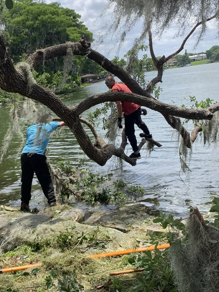 Expert yard cleanup service in Cocoa, FL - Arbor Master Tree & Landscape