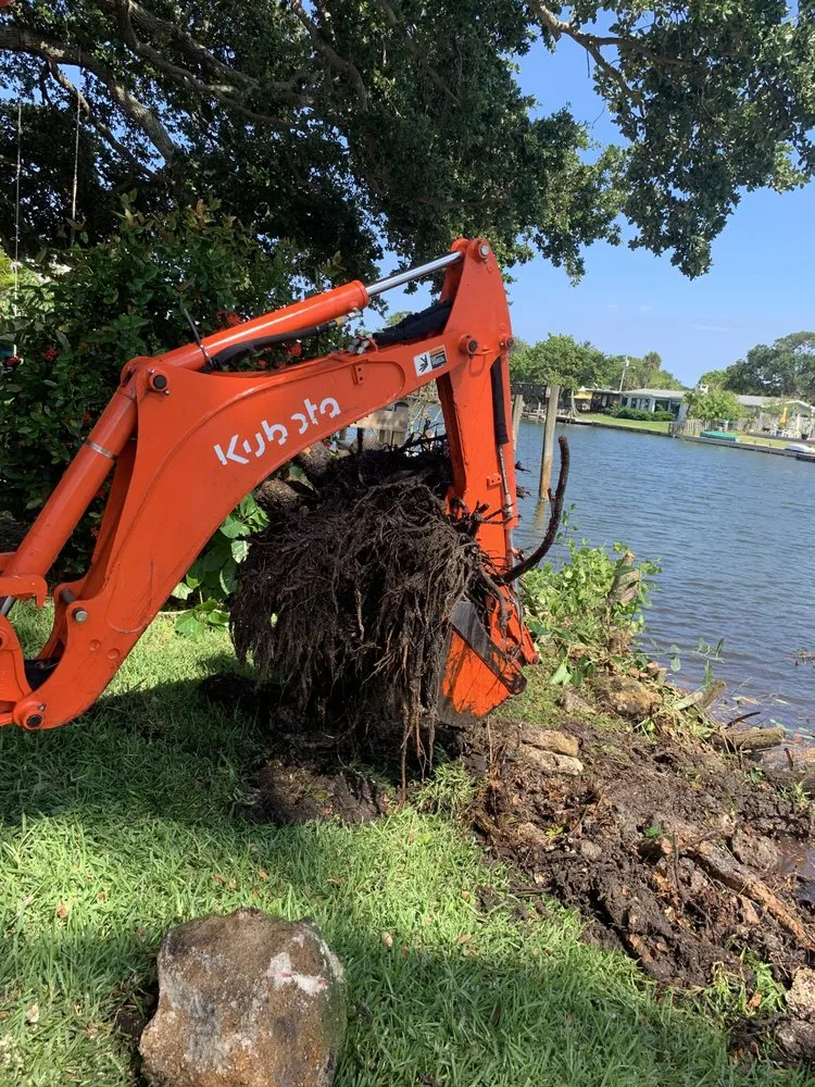 Expert yard maintenance experts serving Cocoa, FL - Arbor Master Tree & Landscape