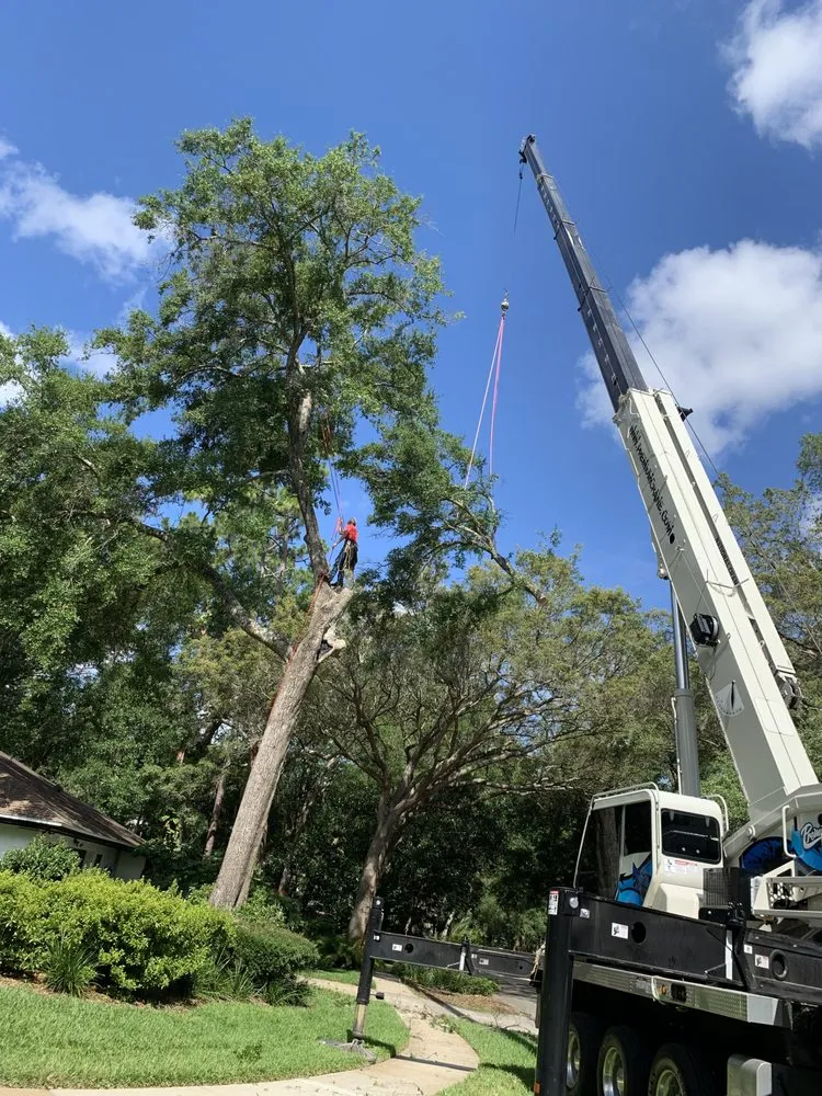 Expert landscape installation near you in Cocoa, FL by Arbor Master Tree & Landscape