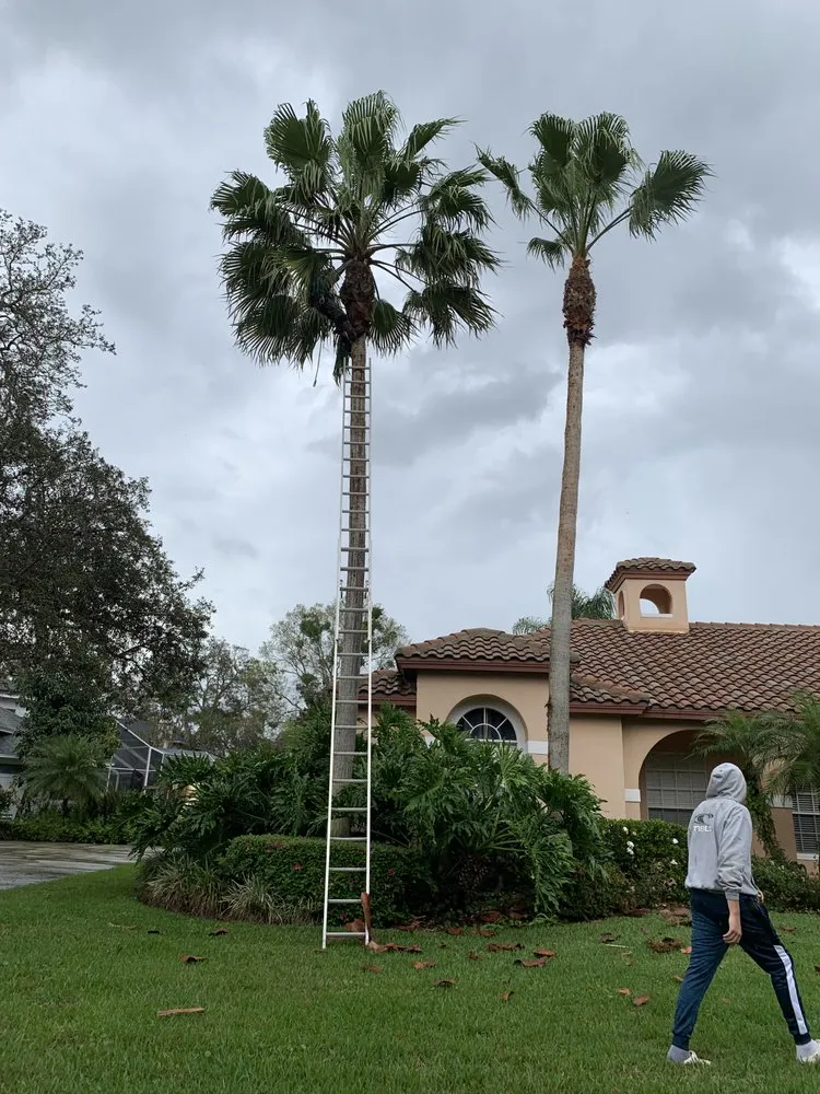 Affordable outdoor landscaping for beautiful yards in Cocoa, FL by Arbor Master Tree & Landscape