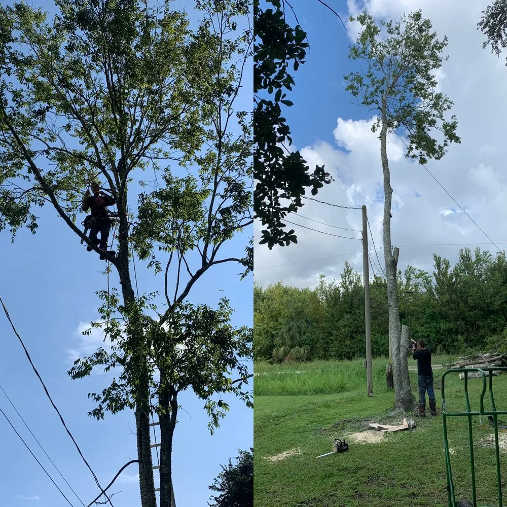 Reliable garden landscaping in Cocoa, FL - Arbor Master Tree & Landscape