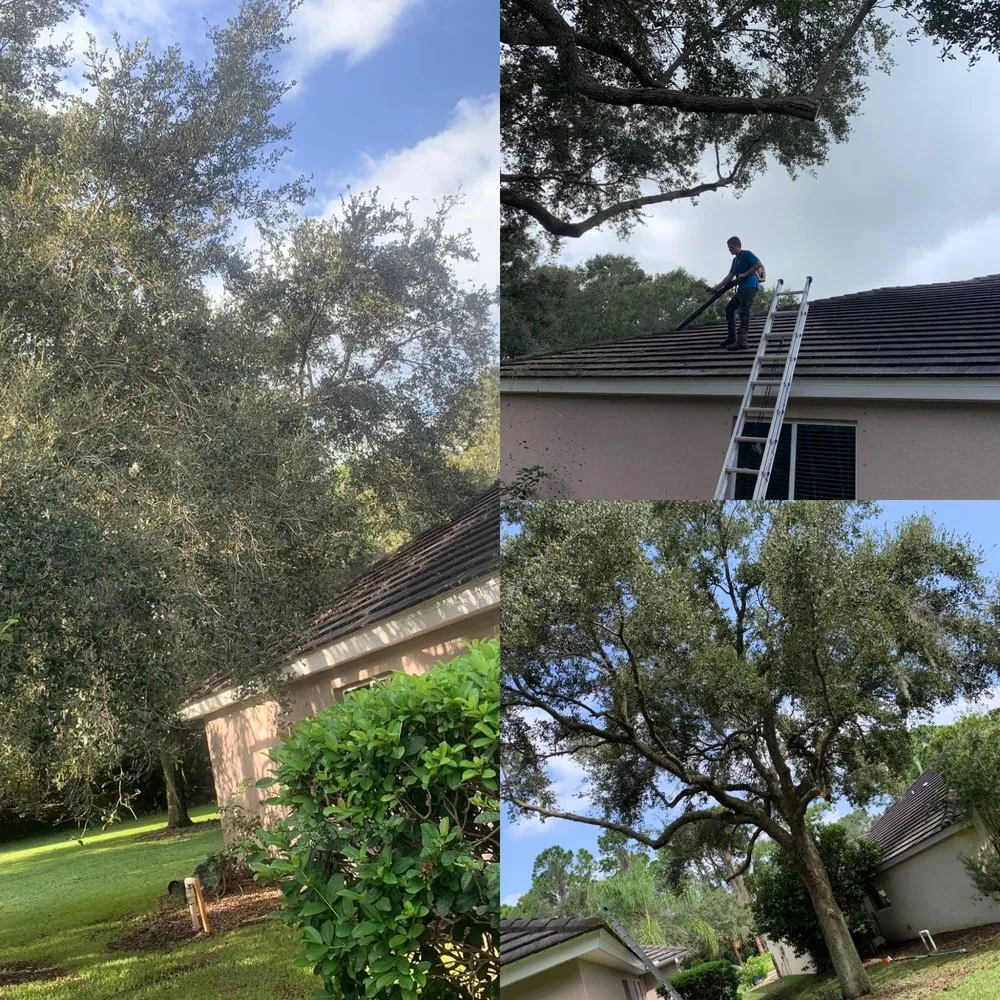 Affordable yard maintenance for beautiful yards across Cocoa, FL - Arbor Master Tree & Landscape