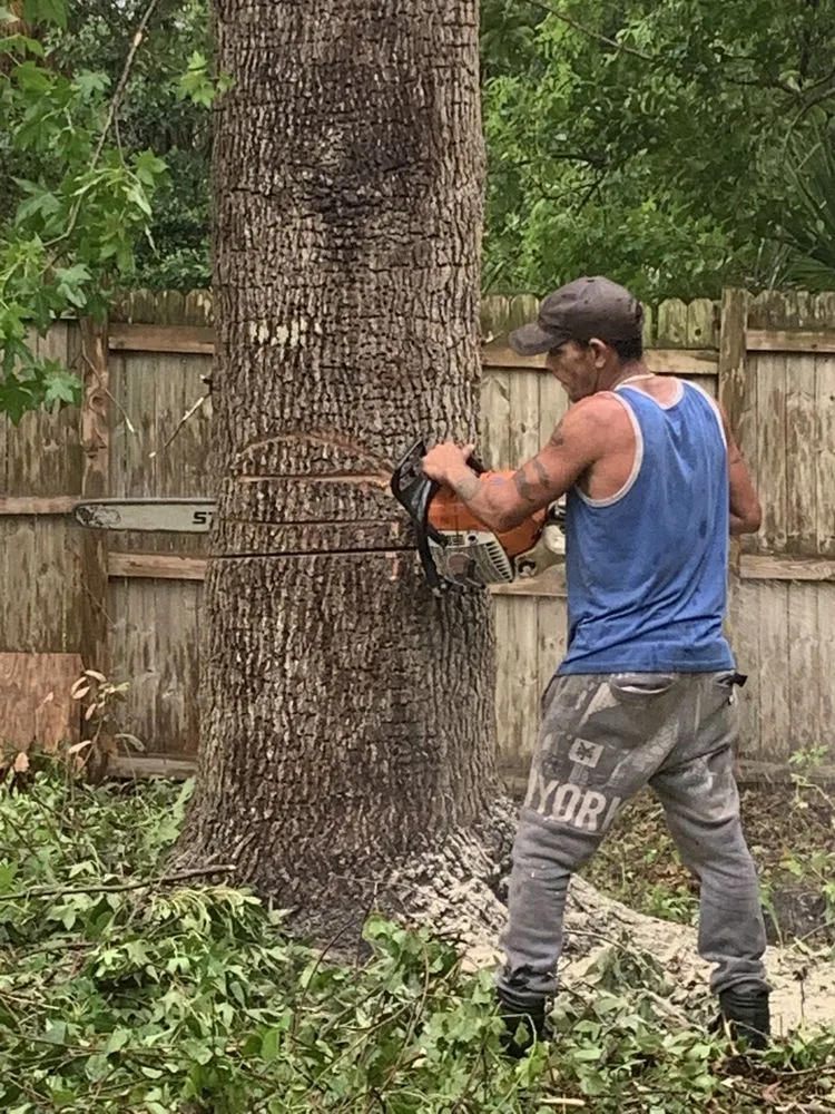 Expert landscape design experts serving Cocoa, FL - Arbor Master Tree & Landscape