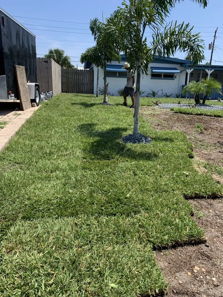 Professional yard maintenance for beautiful yards across Cocoa, FL - Arbor Master Tree & Landscape