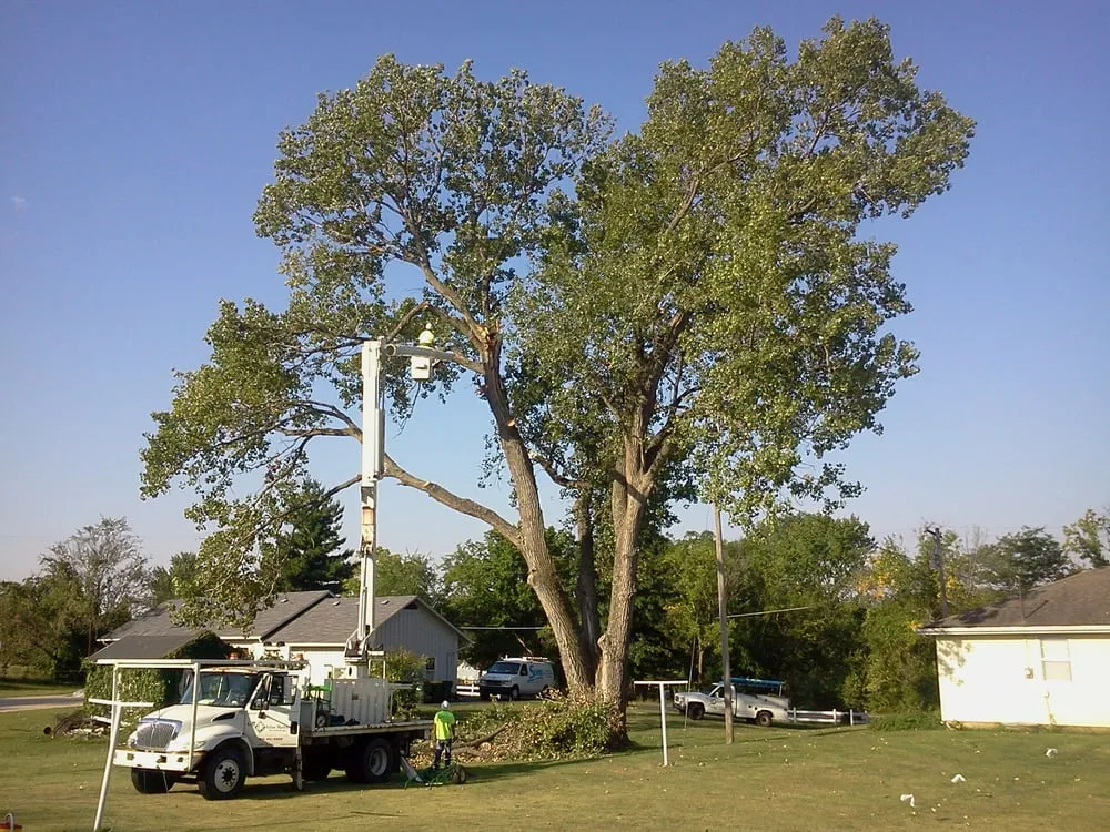 Affordable garden landscaping in Lees Summit, MO by Arbor Masters Tree & Landscape