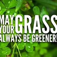 Custom lawn care service for homes across Columbia Station, OH - Arbor-Medic