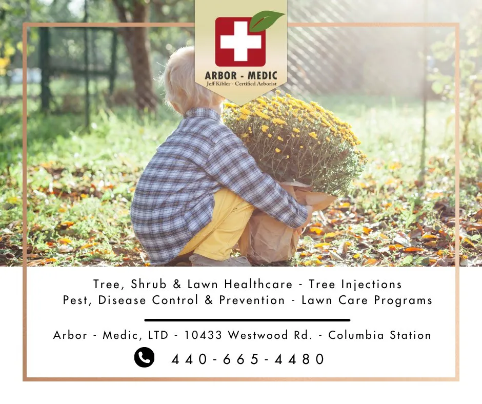 Reliable lawn care service experts serving Columbia Station, OH - Arbor-Medic