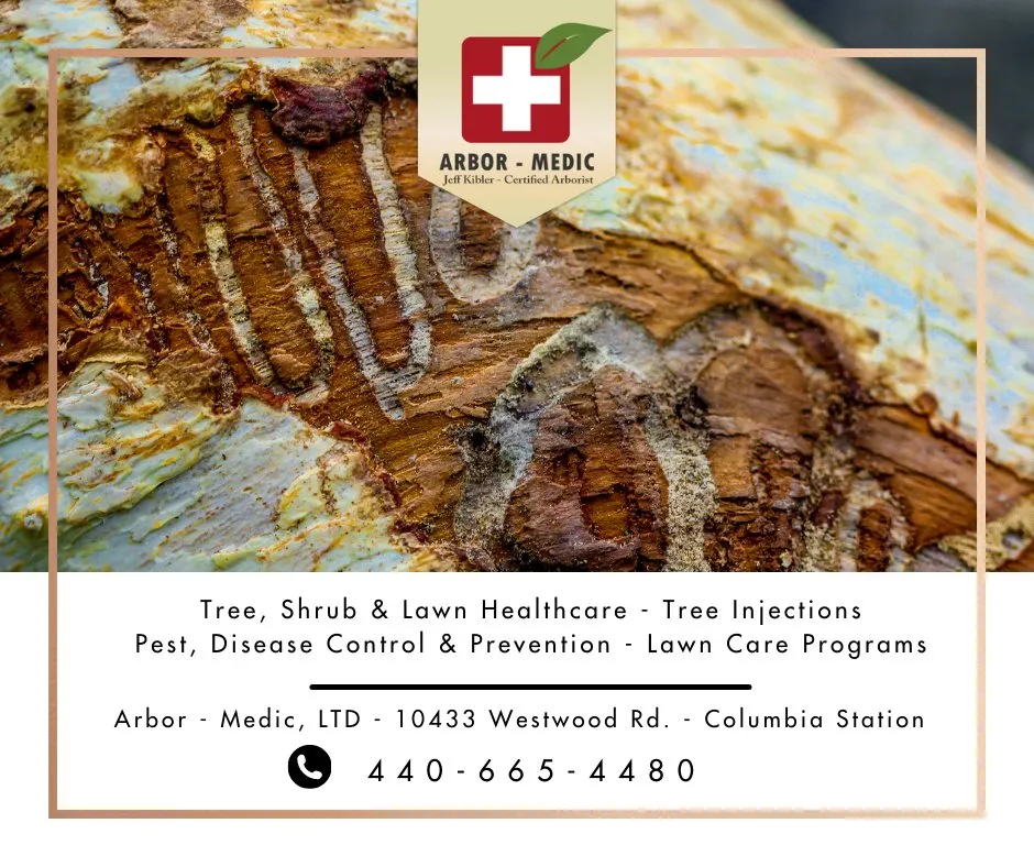 Top-rated outdoor landscaping for residential properties in Columbia Station, OH by Arbor-Medic