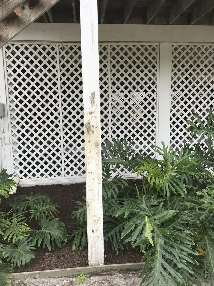 Custom lawn mowing service experts serving Fort Myers, FL - Arbor Nature Tree Service And Landscaping