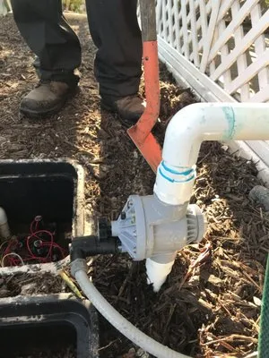 Arbor Nature Tree Service And Landscaping Logo