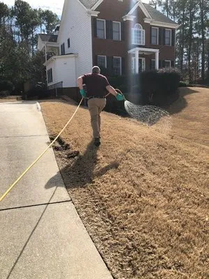 Arbor-Nomics Turf, Inc. Lawn Care Services & Grass Treatment Logo