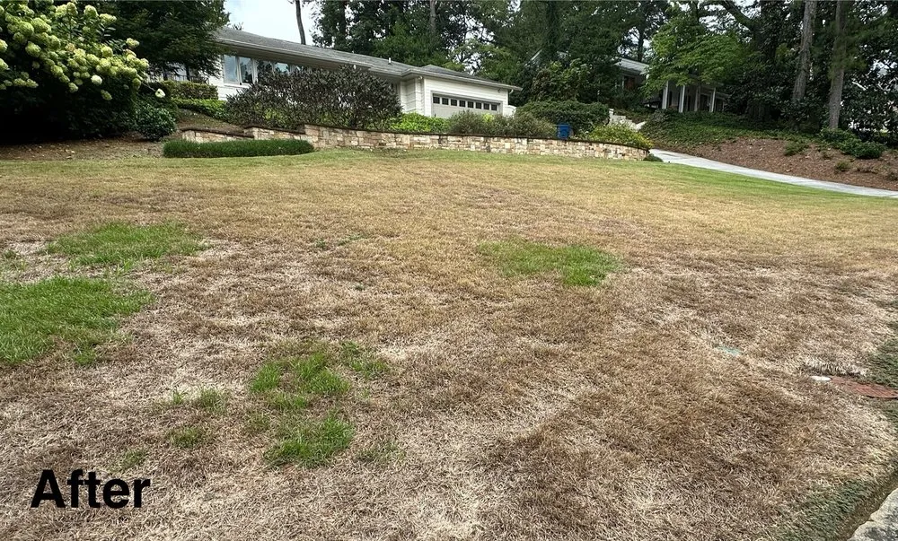 Trusted yard cleanup service in Norcross, GA by Arbor-Nomics Turf, Inc. Lawn Care Services & Grass Treatment