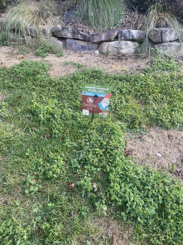 Top-rated landscape installation in Norcross, GA - Arbor-Nomics Turf, Inc. Lawn Care Services & Grass Treatment