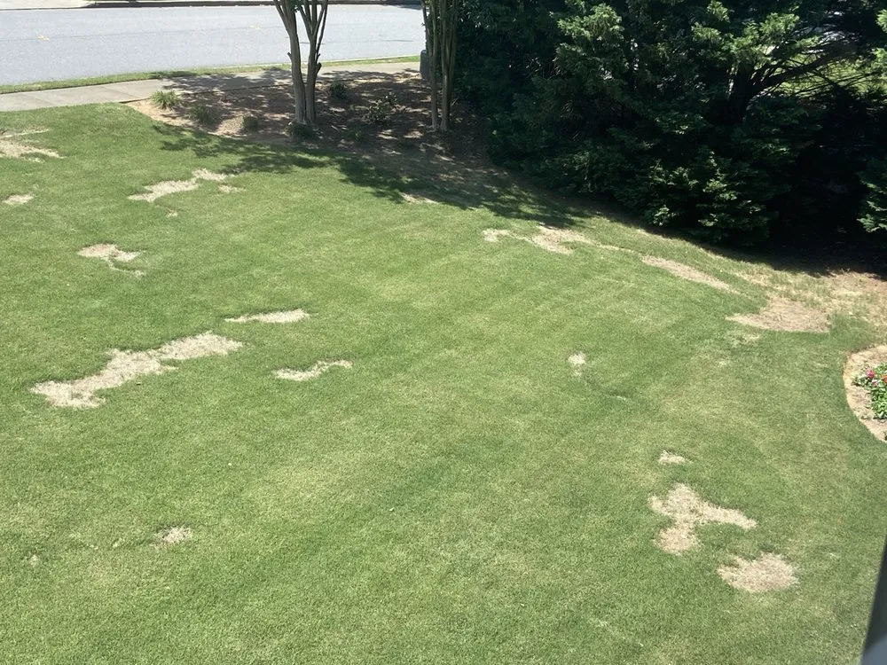 Top-rated lawn mowing service in Norcross, GA by Arbor-Nomics Turf, Inc. Lawn Care Services & Grass Treatment