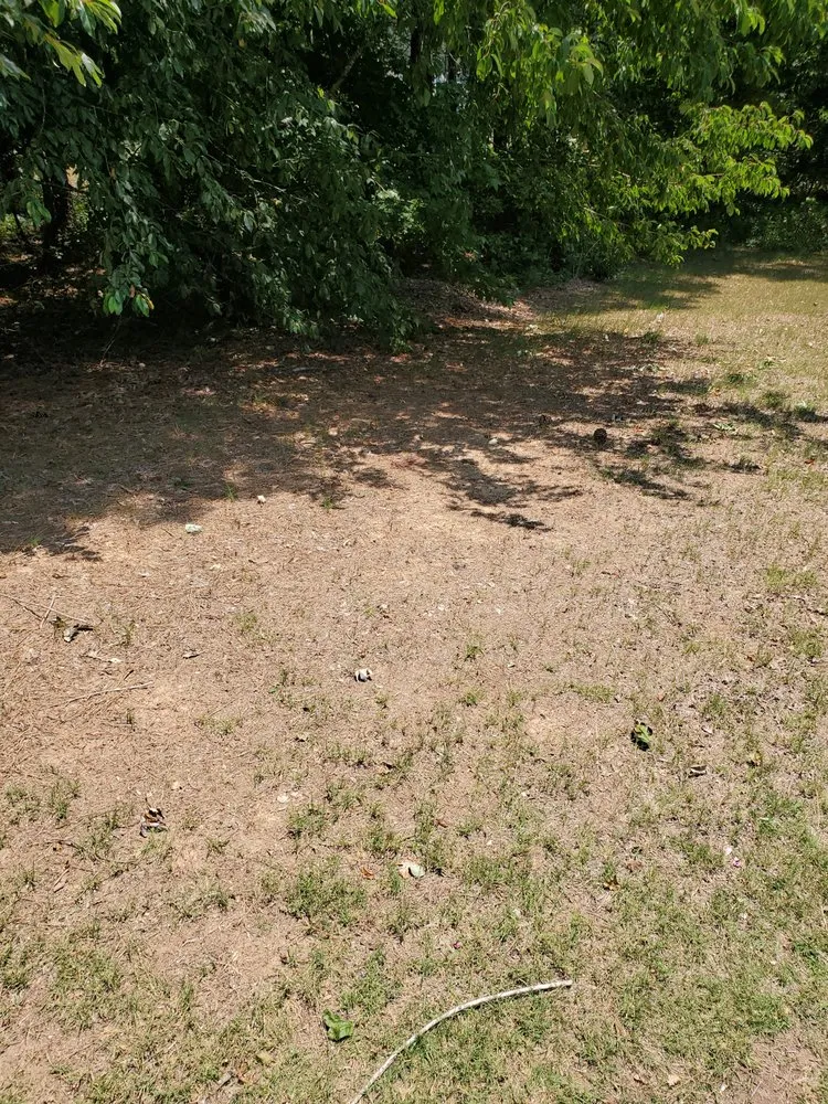 Expert landscape design in Norcross, GA by Arbor-Nomics Turf, Inc. Lawn Care Services & Grass Treatment