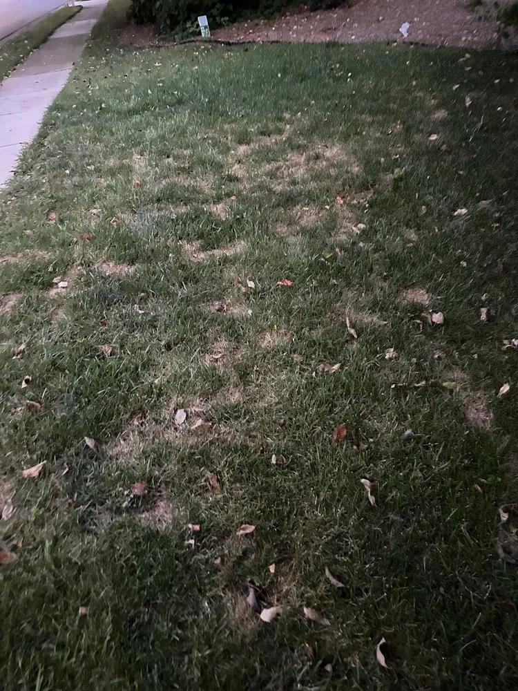 Local landscape installation in Norcross, GA by Arbor-Nomics Turf, Inc. Lawn Care Services & Grass Treatment