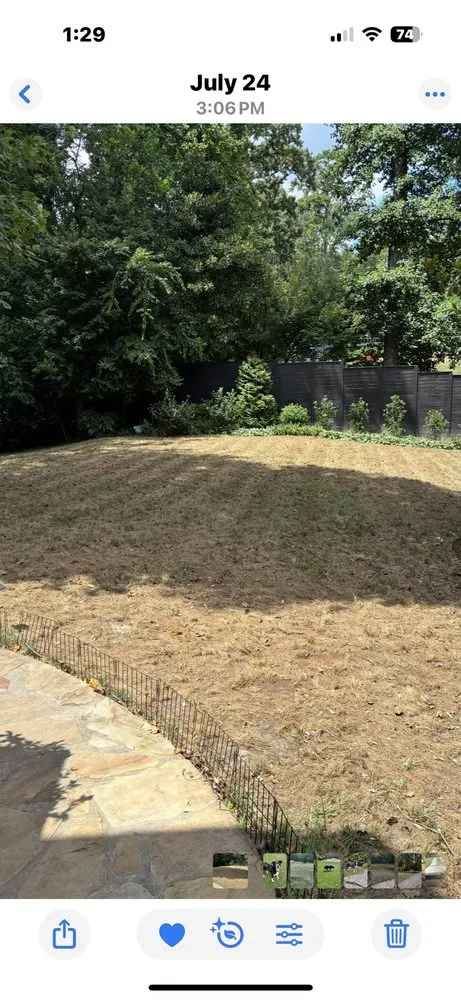 Expert lawn care service in Norcross, GA - Arbor-Nomics Turf, Inc. Lawn Care Services & Grass Treatment