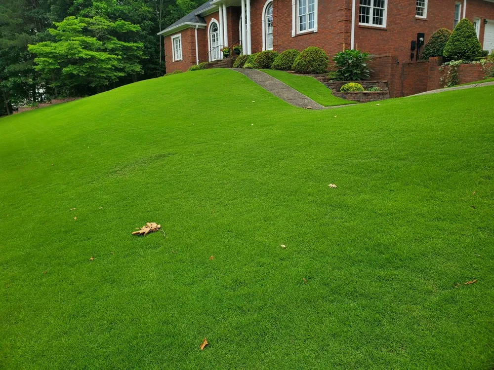 Reliable lawn care service in Norcross, GA - Arbor-Nomics Turf, Inc. Lawn Care Services & Grass Treatment