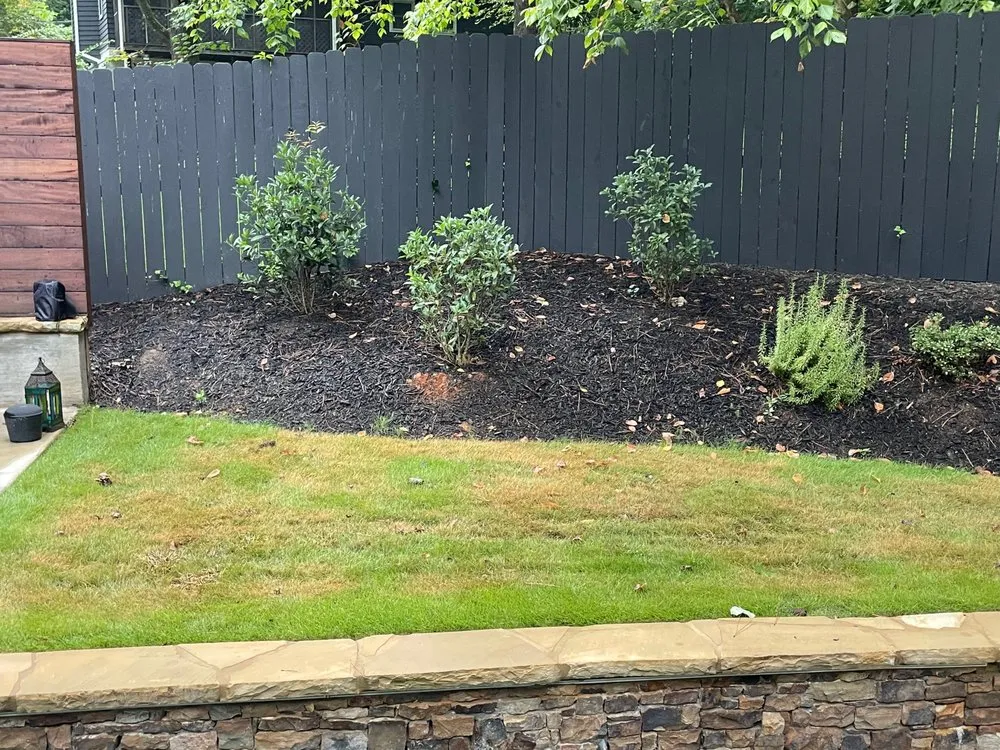 Top-rated landscaping services experts serving Norcross, GA - Arbor-Nomics Turf, Inc. Lawn Care Services & Grass Treatment