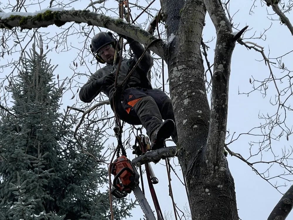 Expert landscape installation in Happy Valley, OR - Arbor Now